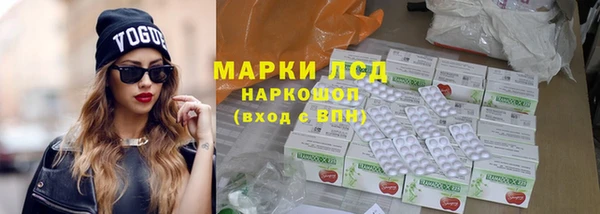 крисы Алзамай